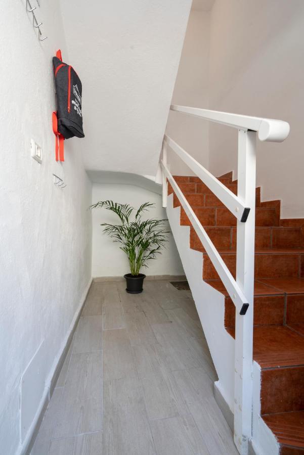 Spacious House With Huge Terrace Facing The Sea Bocacangrejo المظهر الخارجي الصورة