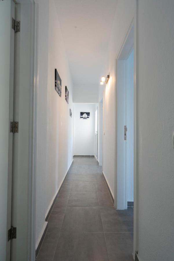 Spacious House With Huge Terrace Facing The Sea Bocacangrejo المظهر الخارجي الصورة